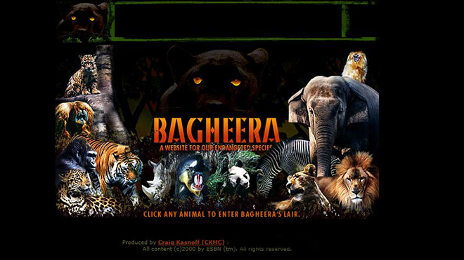 The original 1996 design for the Bagheera Endangered Species Education website.