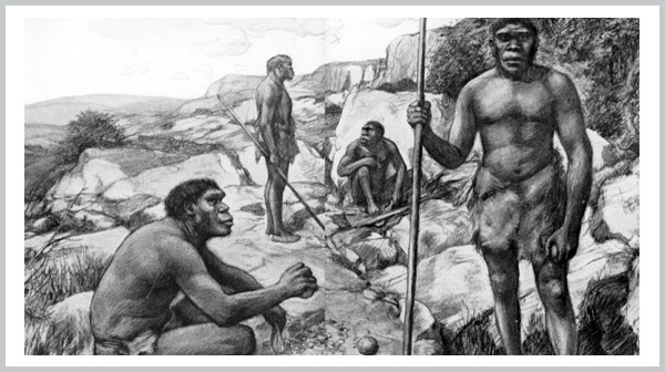 Neanderthals - an extinct species - Bagheera Endangered Species Education Resource