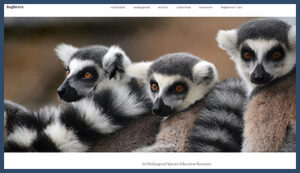 The Bagheera Endangered Species Education Resource website - photo by Craig Kasnoff